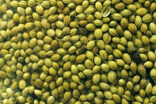 Premium Coriander Seeds