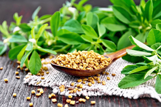 Premium Fenugreek Seeds